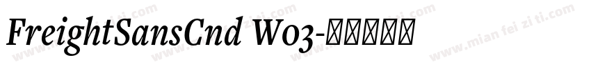 FreightSansCnd W03字体转换